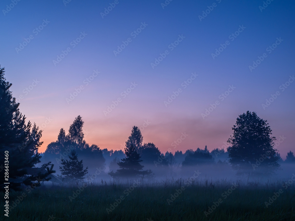 Fototapeta premium Layers of fog soar in still air over a meadow
