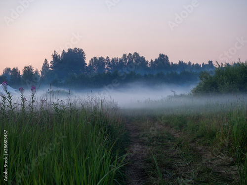 Layers of fog soar in still air over a meadow