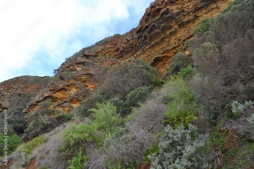 Obraz premium beach scene