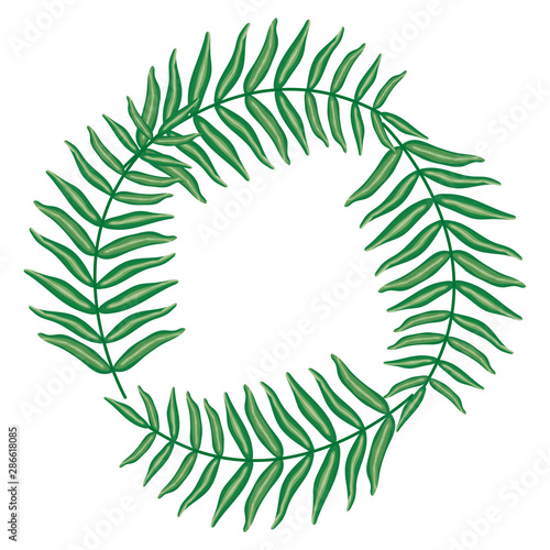 exotic and tropical leafs plants circular frame