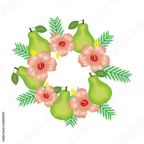 fresh pears fruits with flowers and leafs frame