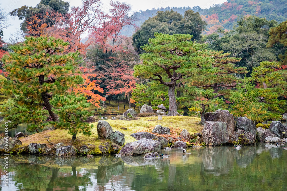 Naklejka premium Japanese garden island with old gray stones and perfectly pruned pine trees that reflect in the smooth water of a pond
