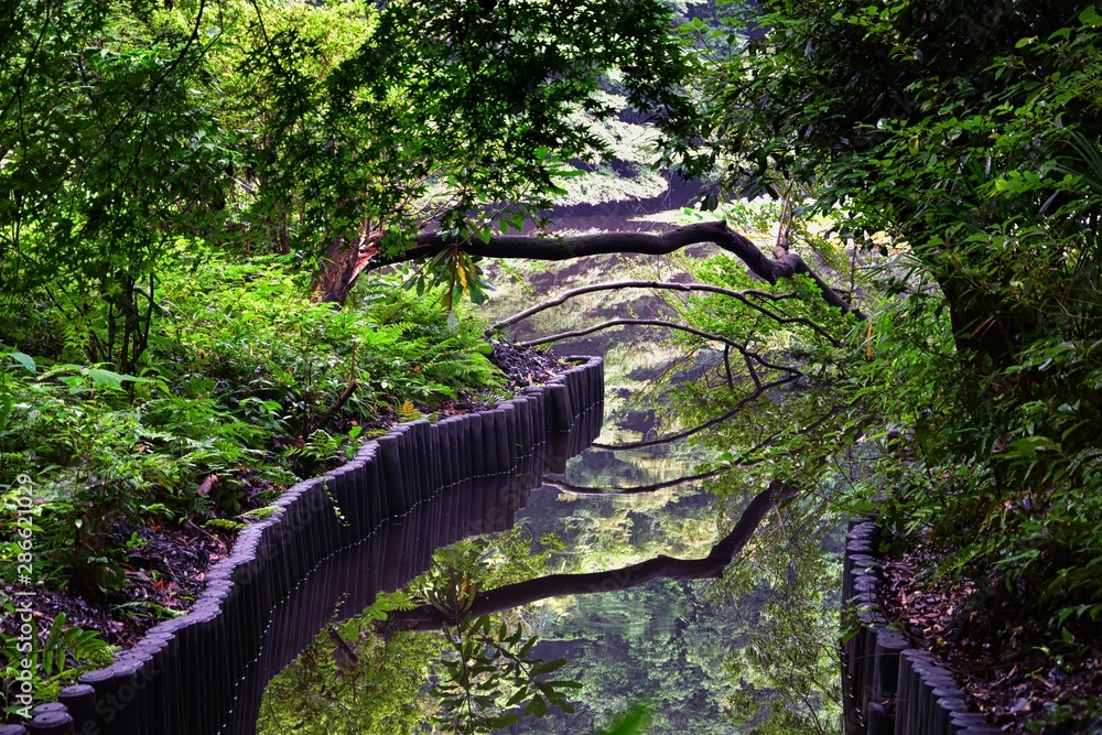 Traditional Japanese gardens in public parks in Tokyo, Japan. Views of stone lanterns, lakes, ponds, bonsai and wildlife walking around paths and trails. Asia. Traditional Japanese gardens in public parks in Tokyo, Japan. Views of stone lanterns, lakes, ponds, bonsai and wildlife walking around paths and trails. Asia.