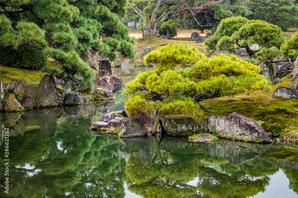 Perfectly pruned pine trees, moss and old stone reflecting in smooth dark green water in a Japanese garden