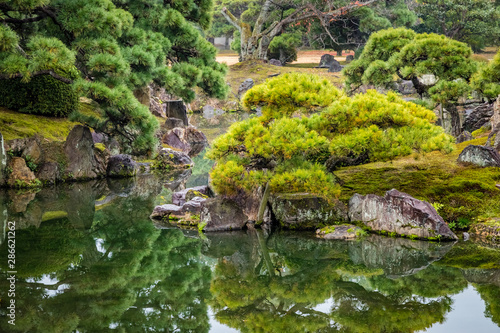 Perfectly pruned pine trees, moss and old stone reflecting in smooth dark green water in a Japanese garden