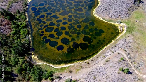 Mysterious Spotted Lake  in Osoyoos | British Columbia Canada