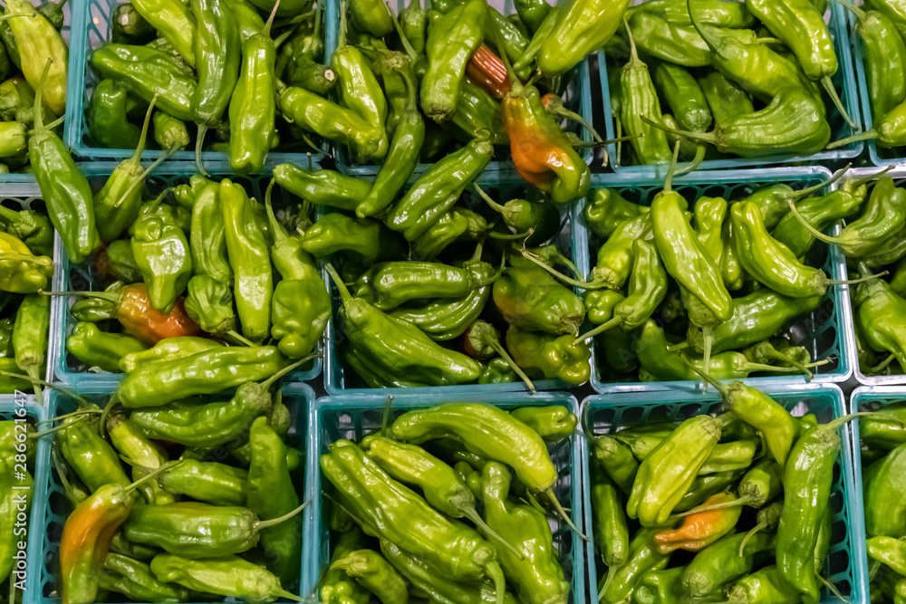 Organic Shishito Peppers from above for sale