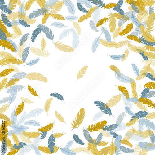 Detailed majestic feather on white design.