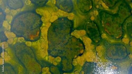 Mysterious Spotted Lake  in Osoyoos | British Columbia Canada