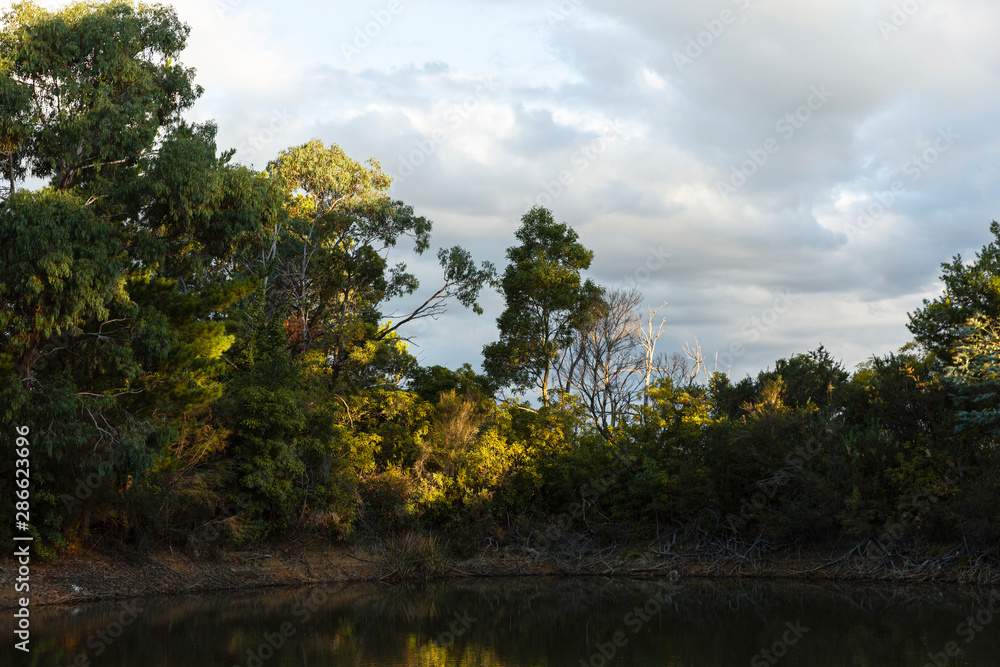 Obraz premium Glade of light shedding across tranquil afternoon pond setting.