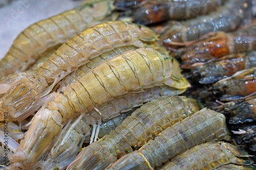 Fresh Mantis shrimp sale at seafood market in Bangkok, Thailand.