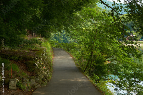 Nature pathway with beautiful scenery