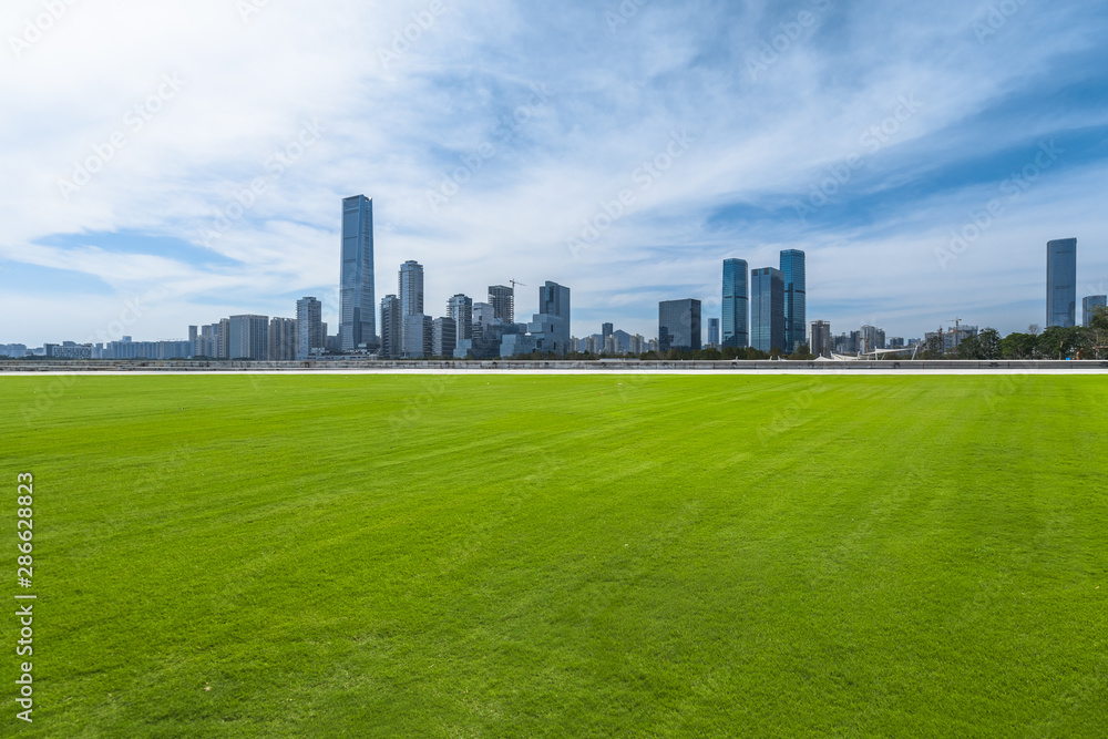 Fototapeta premium cityscape and skyline of shenzhen from meadow in park
