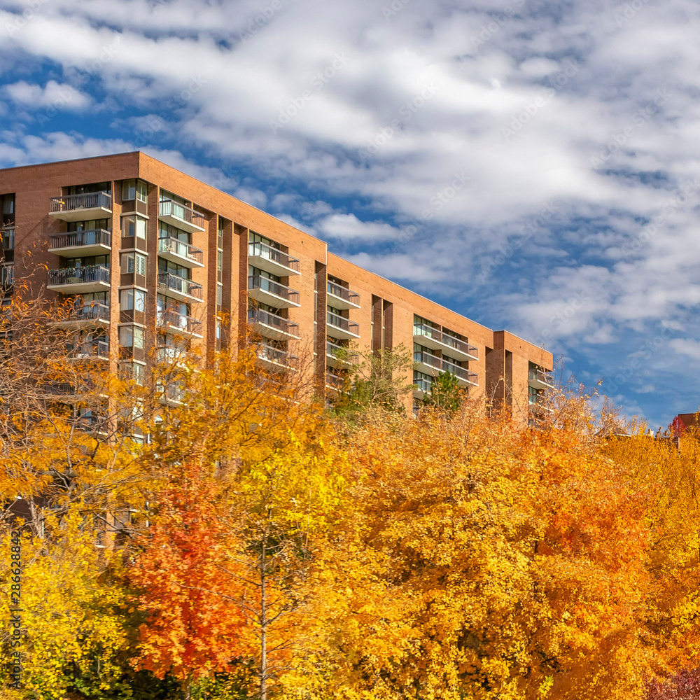 Square Lush green lawn and prolific trees with colorful autumn leaves at a park Square Lush green lawn and prolific trees with colorful autumn leaves at a park