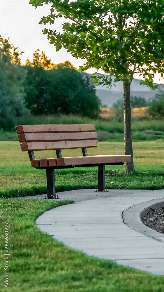 Vertical Bench and circular pathway on a grass covered terrain gainst trees and mountain Vertical Bench and circular pathway on a grass covered terrain gainst trees and mountain
