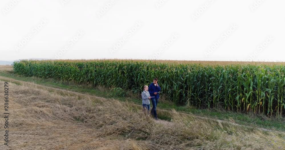 Young Farmers Discussing At Maize Field Agriculture Young Farmers Discussing At Maize Field Agriculture
