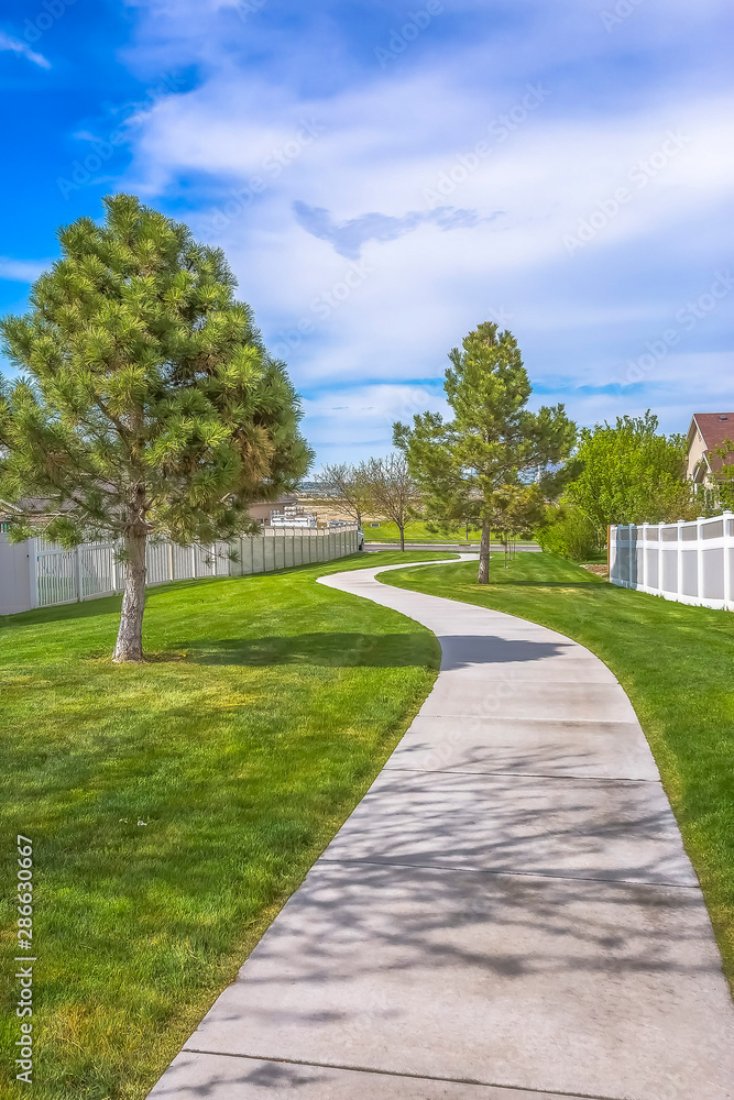 Sunny day view of pathway amid vibrant green lawn and homes with wooden fence