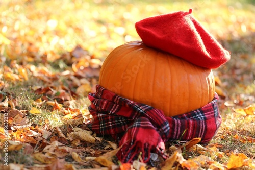 Autumn concept. Halloween. Decoration from a pumpkin in a beret and a checkered scarf. Autumn late