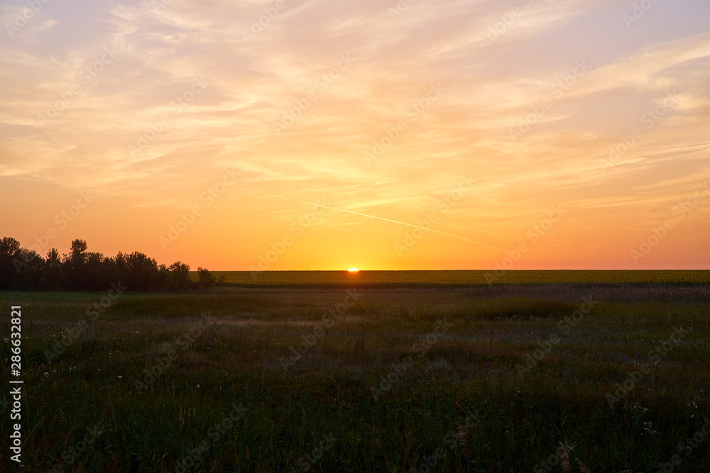 The sun rises above the horizon in Russian countryside. Dramatic summer landscape of golden early morning sun rising over endless meadow covered with wild greenery and flowers, bushes and lush trees.