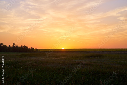 The sun rises above the horizon in Russian countryside. Dramatic summer landscape of golden early morning sun rising over endless meadow covered with wild greenery and flowers  bushes and lush trees.