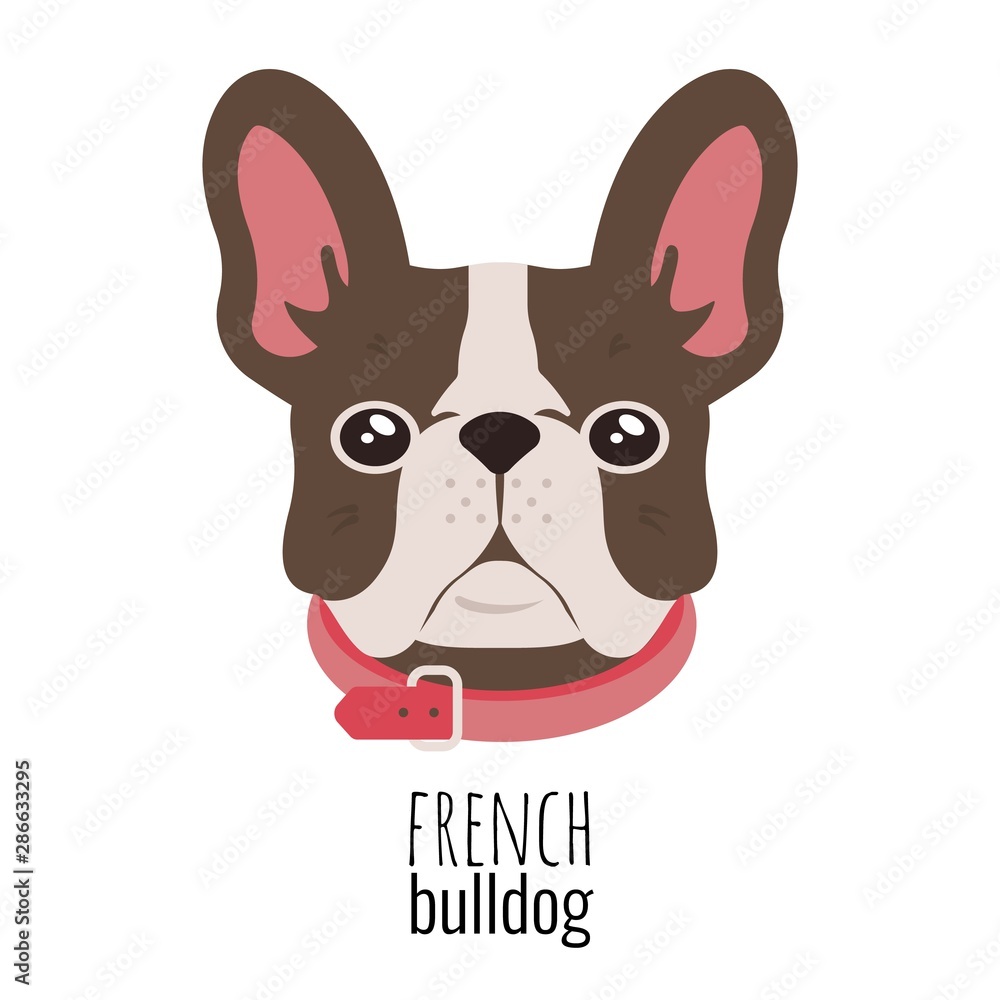 French bulldog face. Cute brown Frenchie with bunny ears. Vector