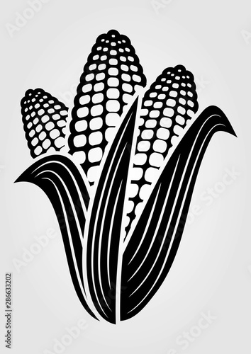 Corn icon isolated on white background. Vector illustration.