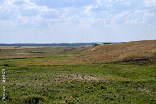 Panoramic view of endless Russian steppe with hills and ravines, covered with wild low grass and lone trees, under the bright rays of hot southern sun.