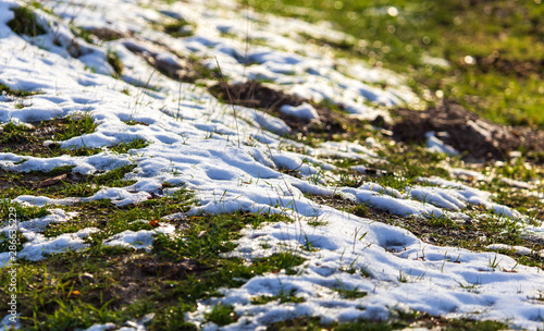 Snow on the green grass in spring