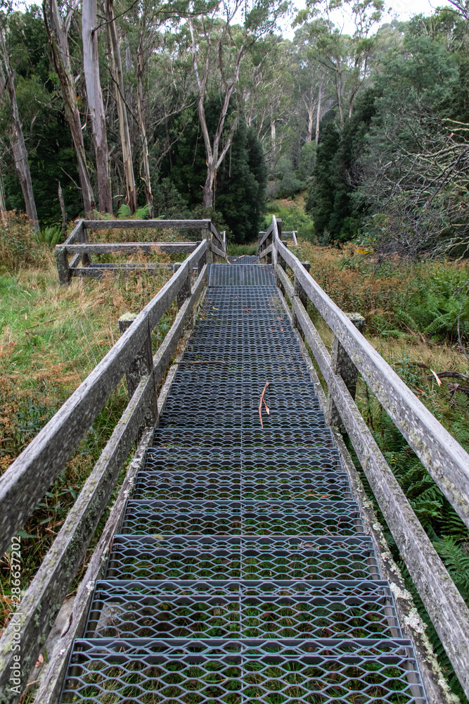 wooden bridge road in the forest