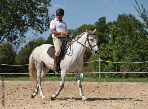 riding man and horse © cynoclub