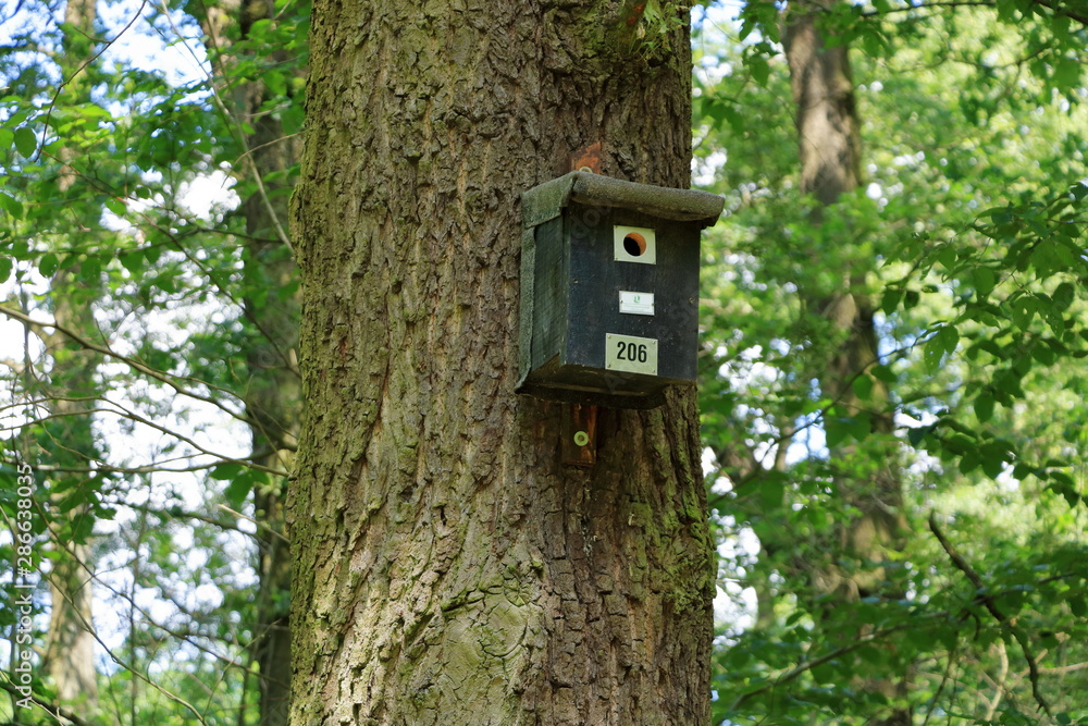 birdhouse in the autumn forest birdhouse in the autumn forest