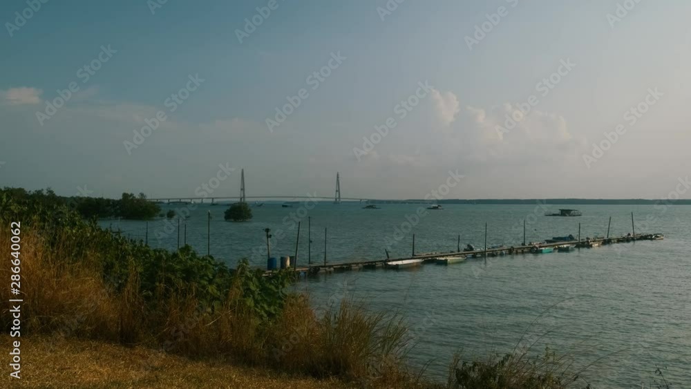 Static wide shot from behind the shrubs of a wooden jetty with boats in the background and a bridge far in the distance Static wide shot from behind the shrubs of a wooden jetty with boats in the background and a bridge far in the distance