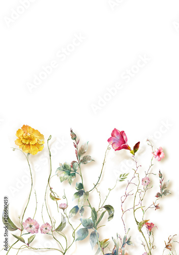 watercolor painting of leaves and flower, on white background © photoiget