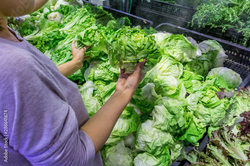 Lady choosing fresh salad at vegetables stall in market photo