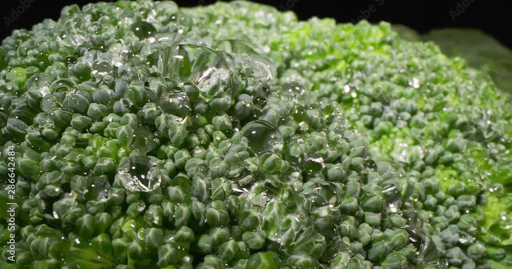 Details of a Broccoli Floret with Woter Drops. Extremely macro shot. 4K. Details of a Broccoli Floret with Woter Drops. Extremely macro shot. 4K.
