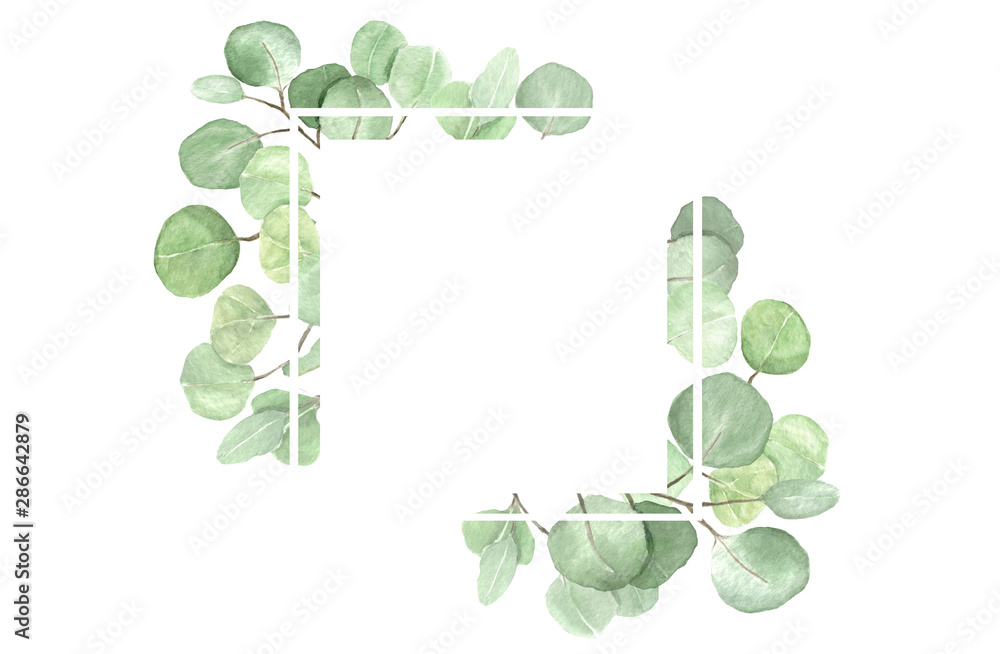 Fototapeta premium Eucalyptus frame composition. Watercolor hand drawn illustration