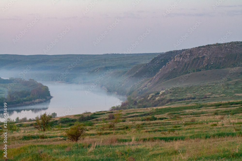 morning reeds mist fog and surface on the river morning reeds mist fog and surface on the river