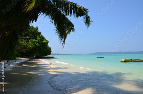 Coast of the sea and the beach