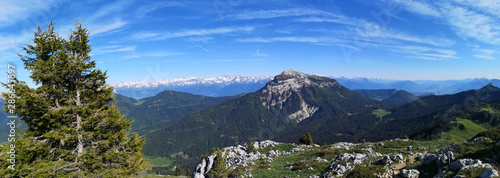 Paysage de montagne - vall  e de chartreuse