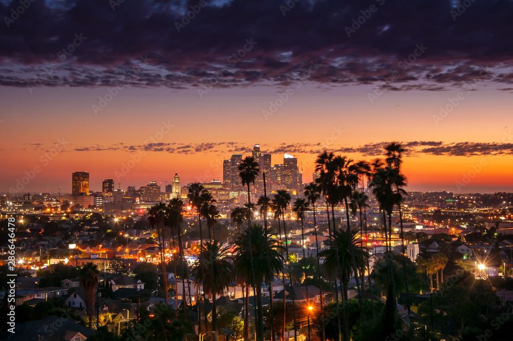 Downtown Skyline Los Angeles, California