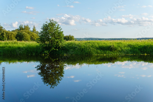 Fototapeta Naklejka Na Ścianę i Meble -  summer landscape of a calm oxbow lake with grassy shores
