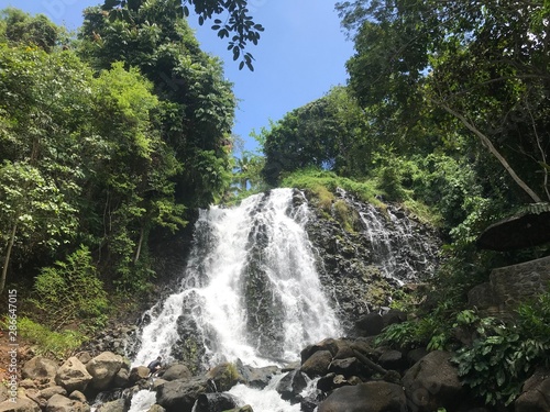 waterfall in forest