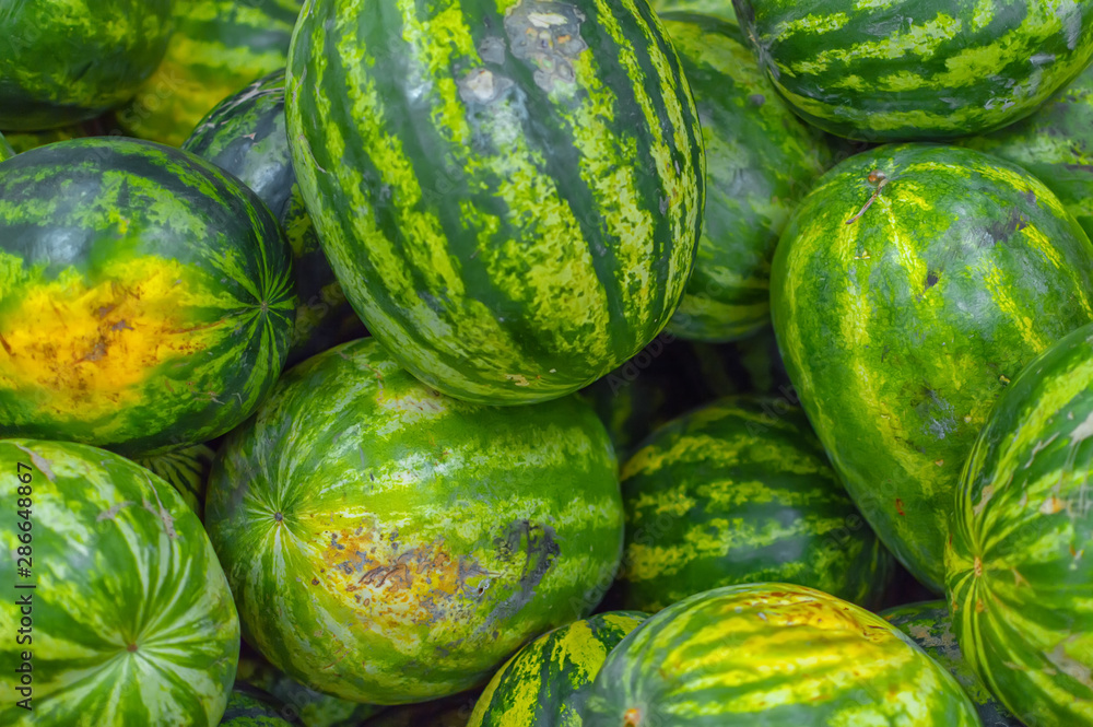 many fresh ripe watermelons lying in wooden crates in the fruit and vegetable department of the supermarket many fresh ripe watermelons lying in wooden crates in the fruit and vegetable department of the supermarket