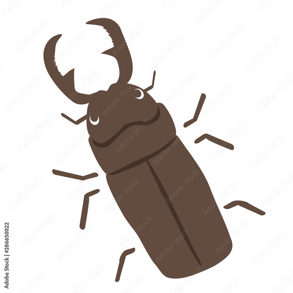 クワガタ クワガタ