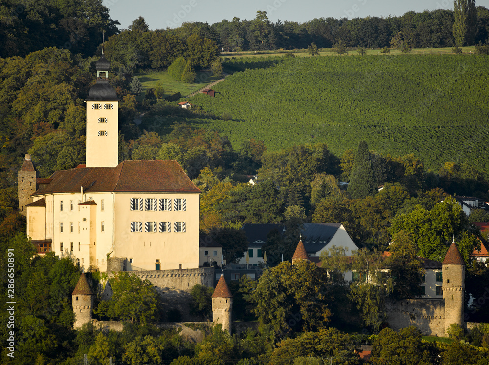 Schloss Horneck Gundelsheim Baden-Württemberg Nekcartal