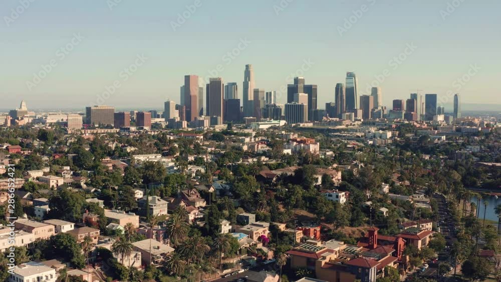 Los angeles city skyline panorama with palm. Aerial view above the city park Los angeles city skyline panorama with palm. Aerial view above the city park