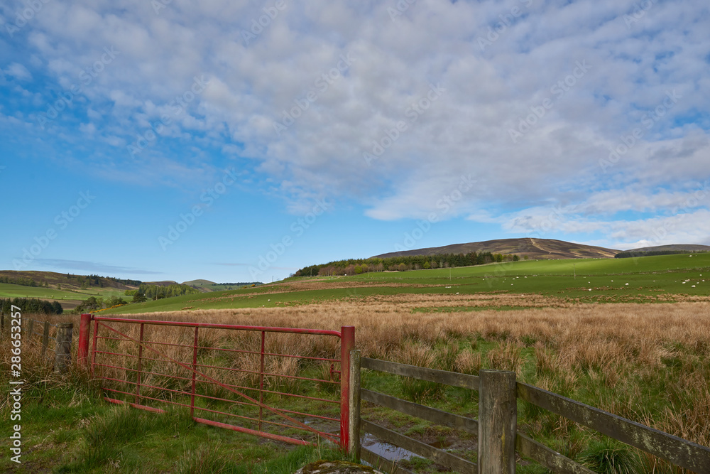 A red painted Metal 7 bar gate at the entrance to a Field in the Hills of the Angus Glens on one early May Morning. Glen Prosen, Scotland.