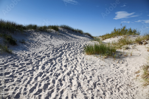 Sandy dunes at Baltic sea coast.