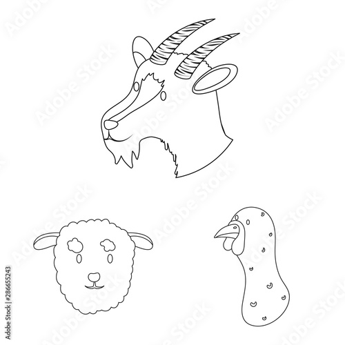 Isolated object of food and homemade symbol. Set of food and homestead vector icon for stock.