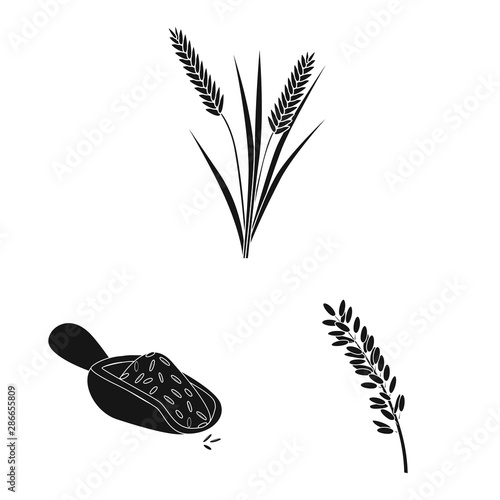 Vector illustration of diet and cooking symbol. Set of diet and organic stock vector illustration.